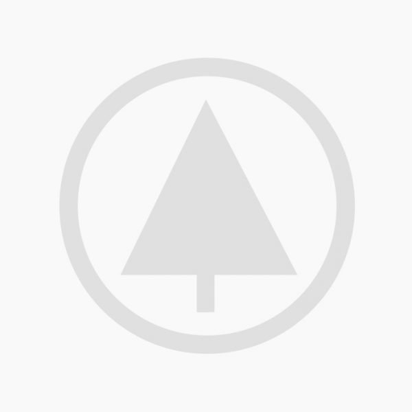 Classic wooden chair